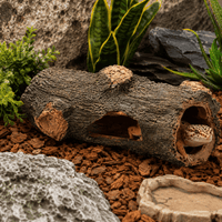 Reptile Cork Tunnel