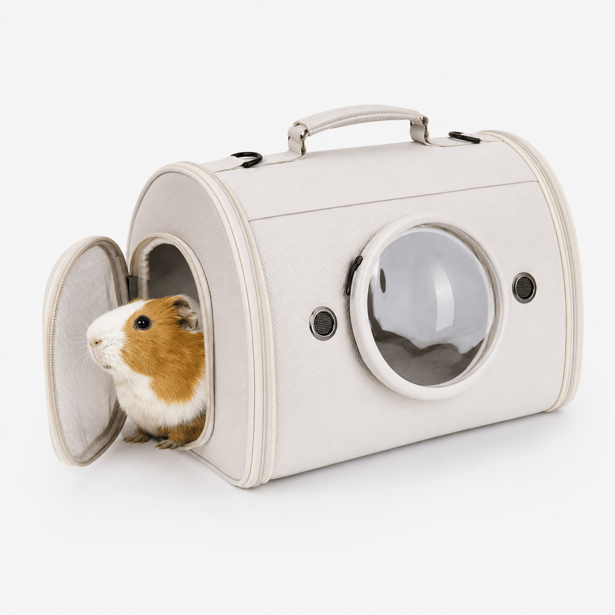 Rigid Carrying Bag