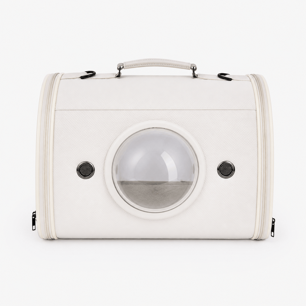 Rigid Carrying Bag