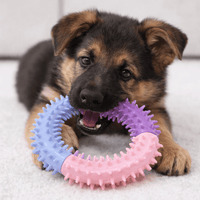 Rubber Dog Ring