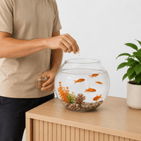 Small Volume Aquarium