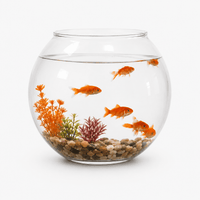 Small Volume Aquarium