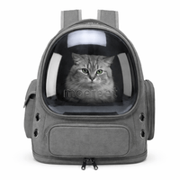 Transparent Cat Backpack