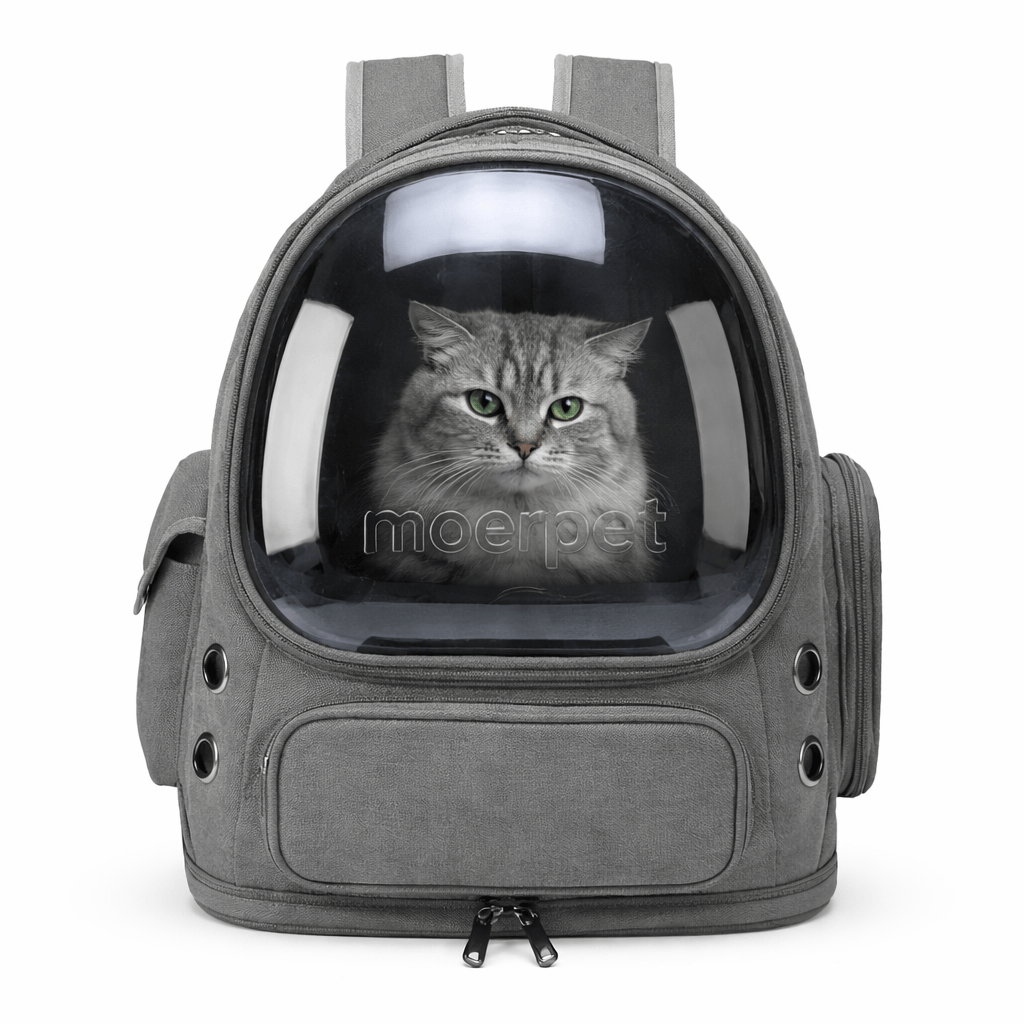 Transparent Cat Backpack