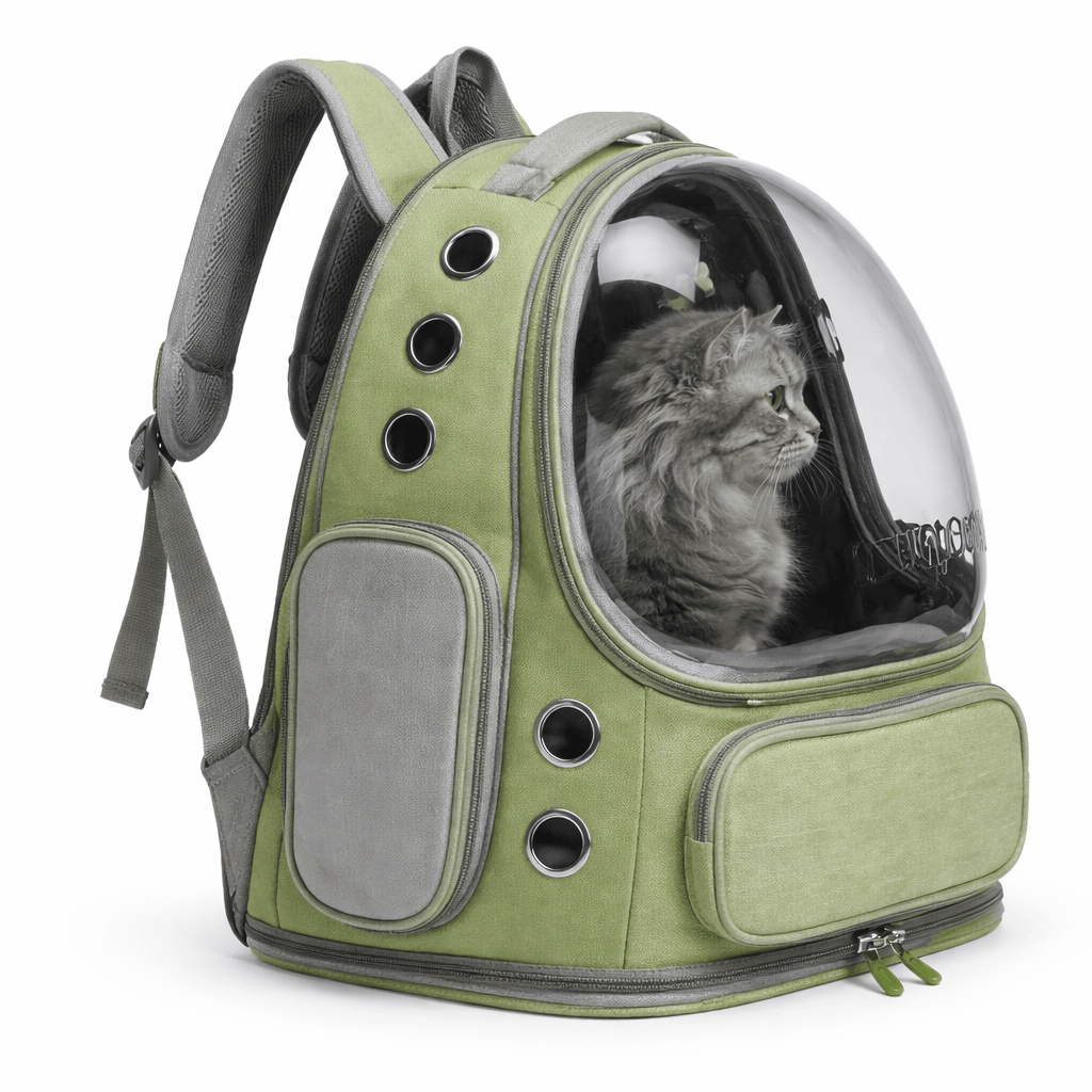 Transparent Cat Backpack