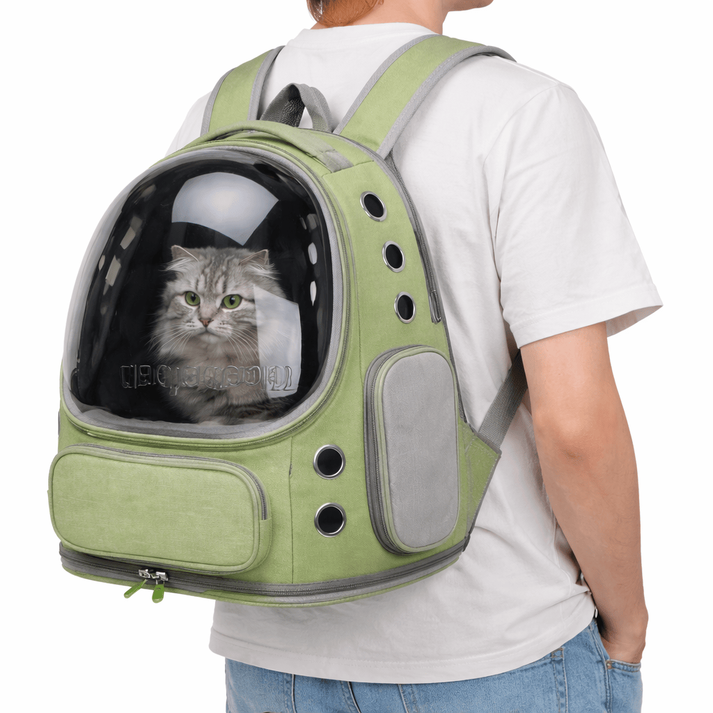 Transparent Cat Backpack