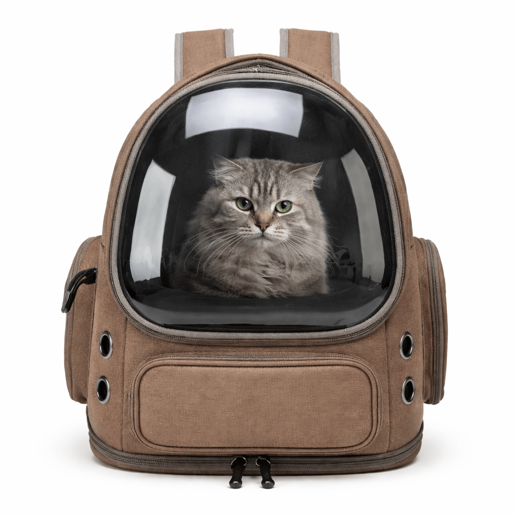 Transparent Cat Backpack