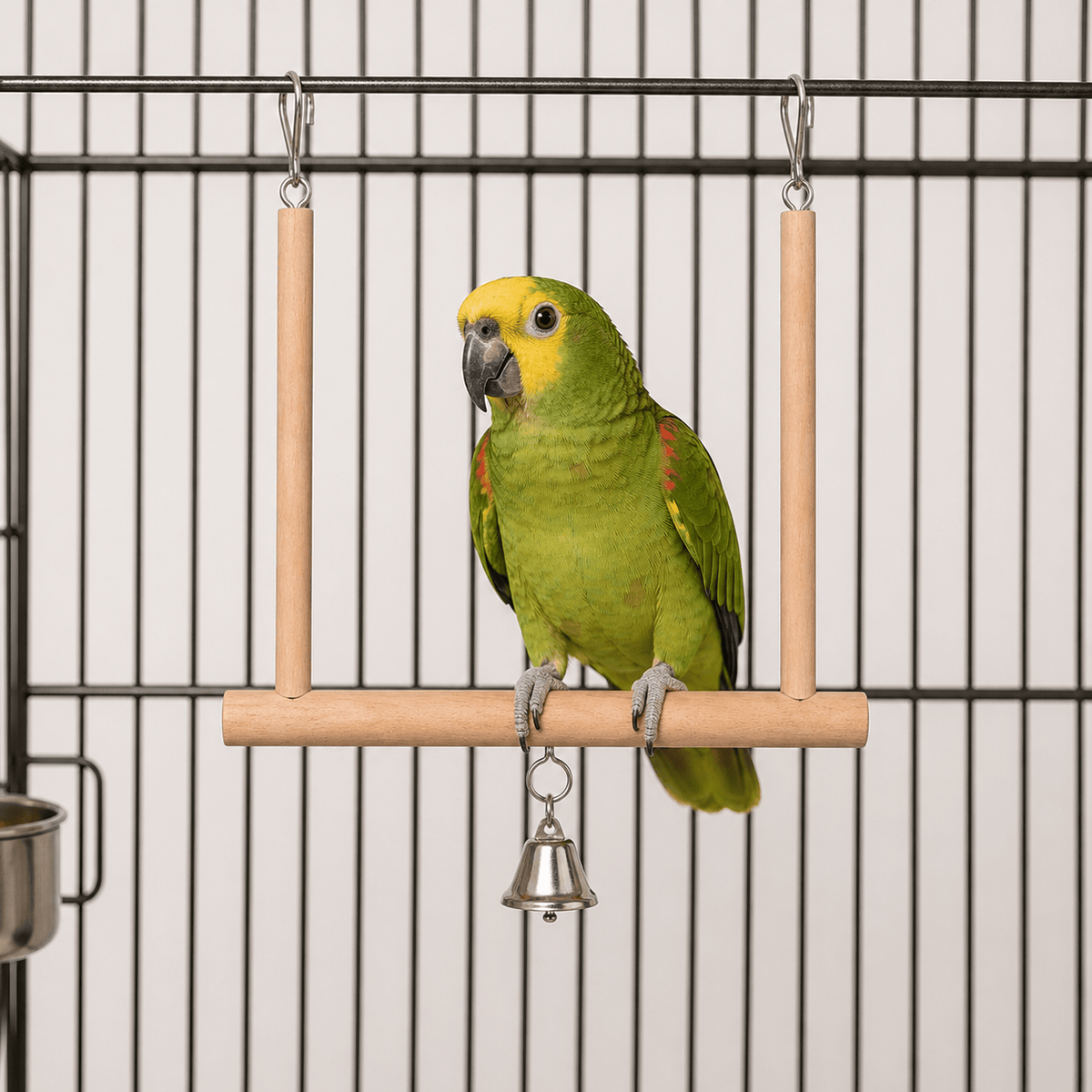 Wooden Parrot Swing