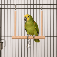 Wooden Parrot Swing